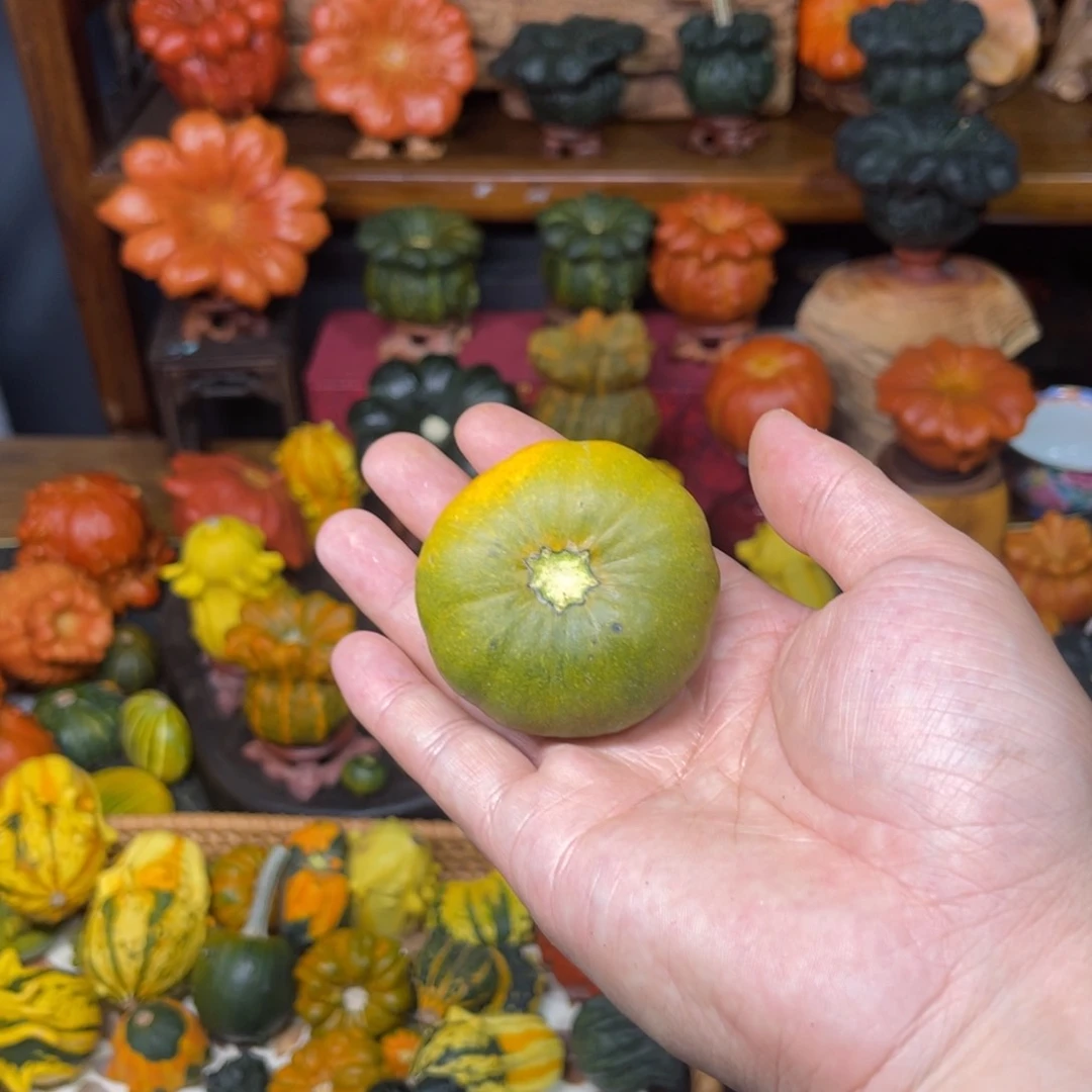 ?**?哈喽哈喽葫芦厉害了哈喽哈喽