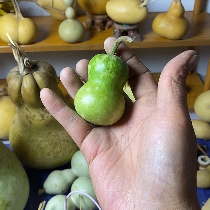 叫***。青皮葫芦手把件葫芦三肚