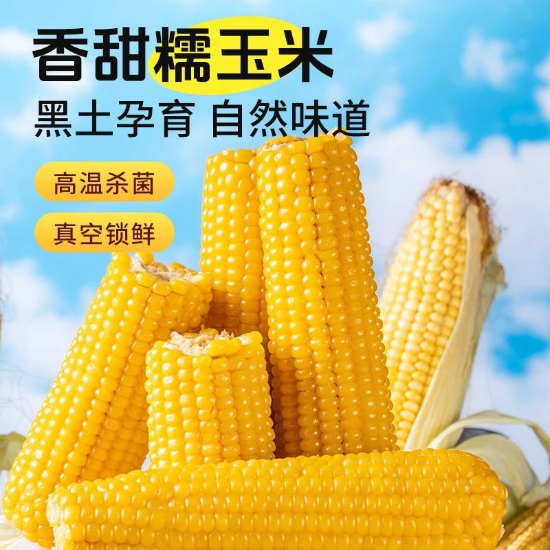 公立屯 黄糯269玉米大棒8支装25年头茬上市新鲜采摘软糯香甜