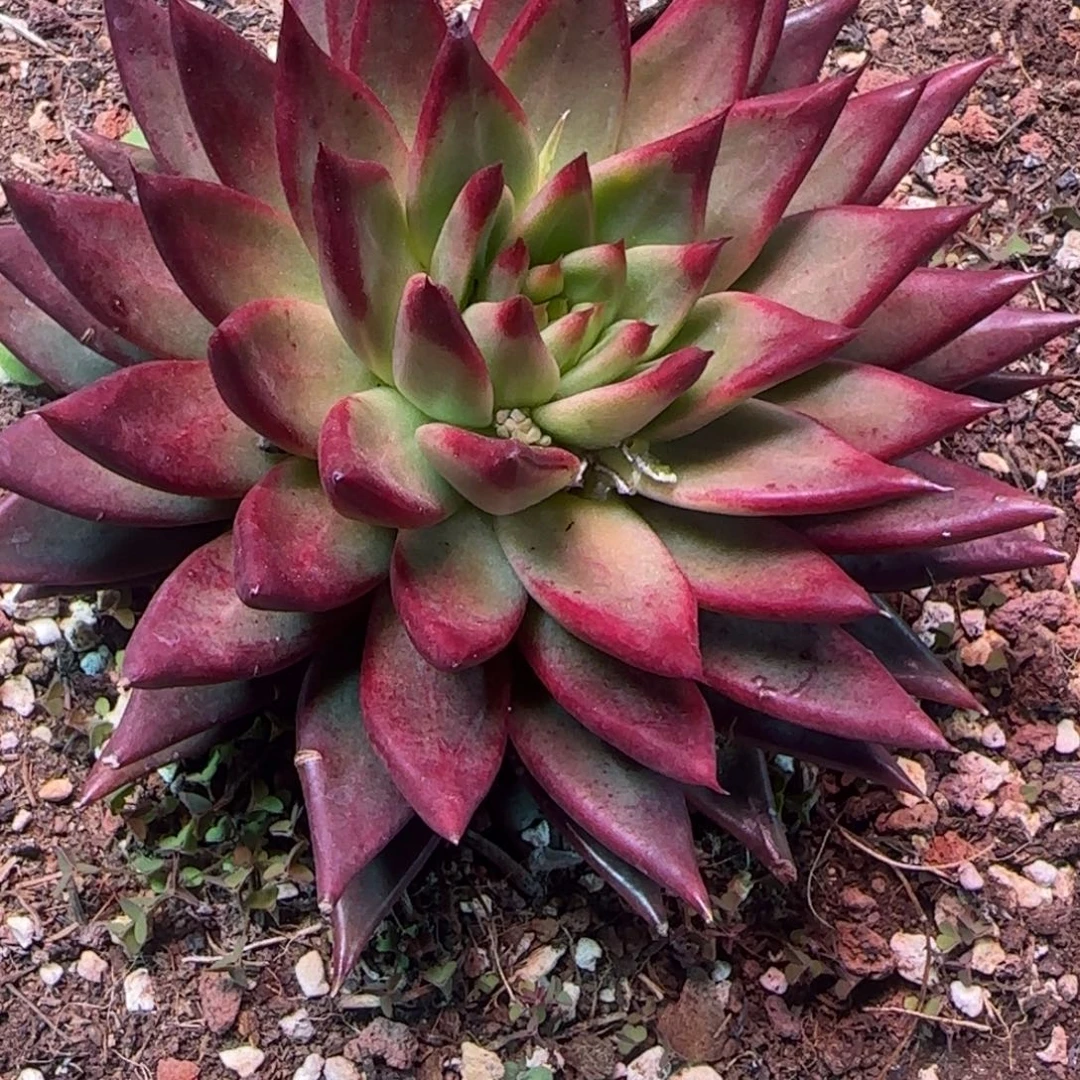 你在哪里嘛现在才吃饭呢