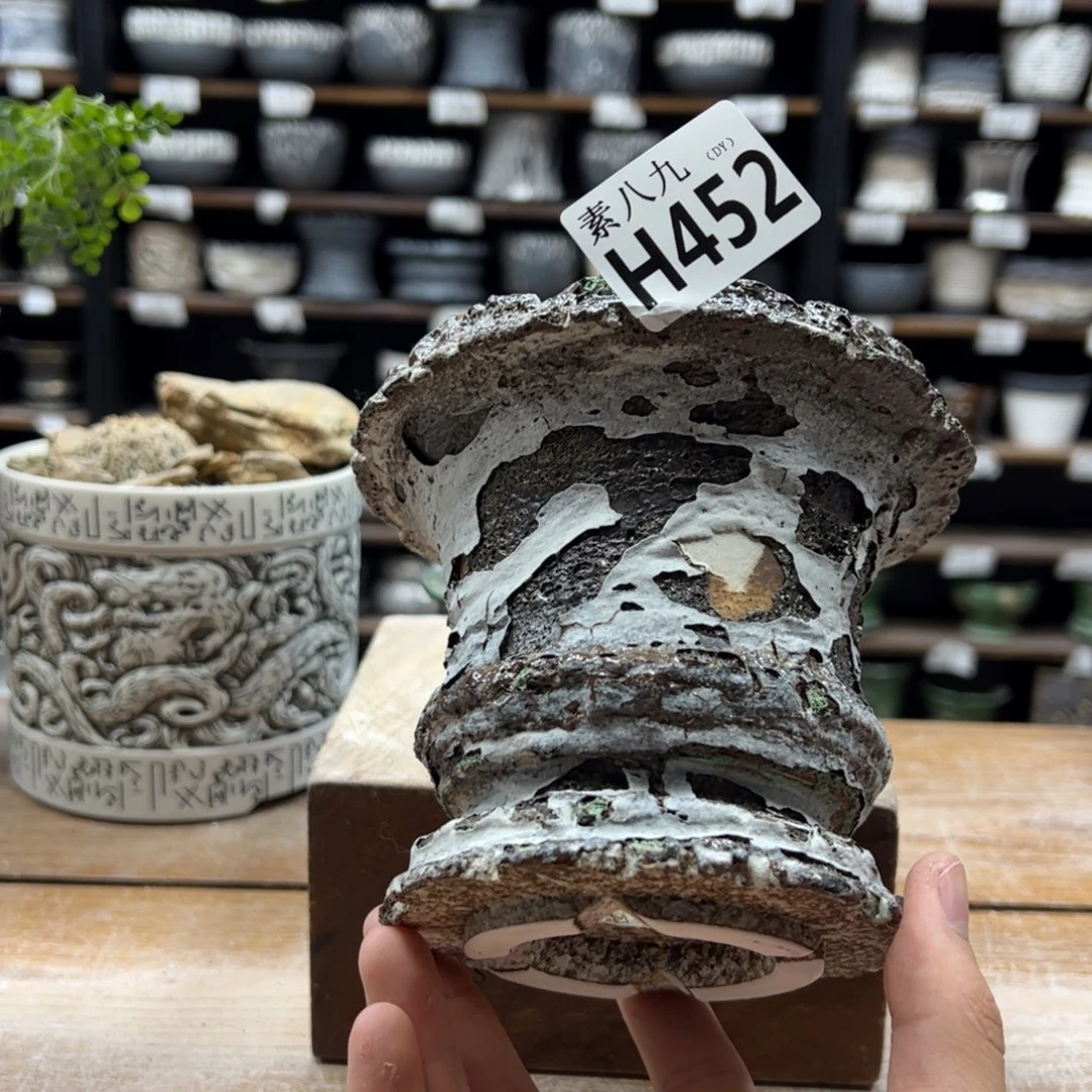 素八九陶瓷内口12高12