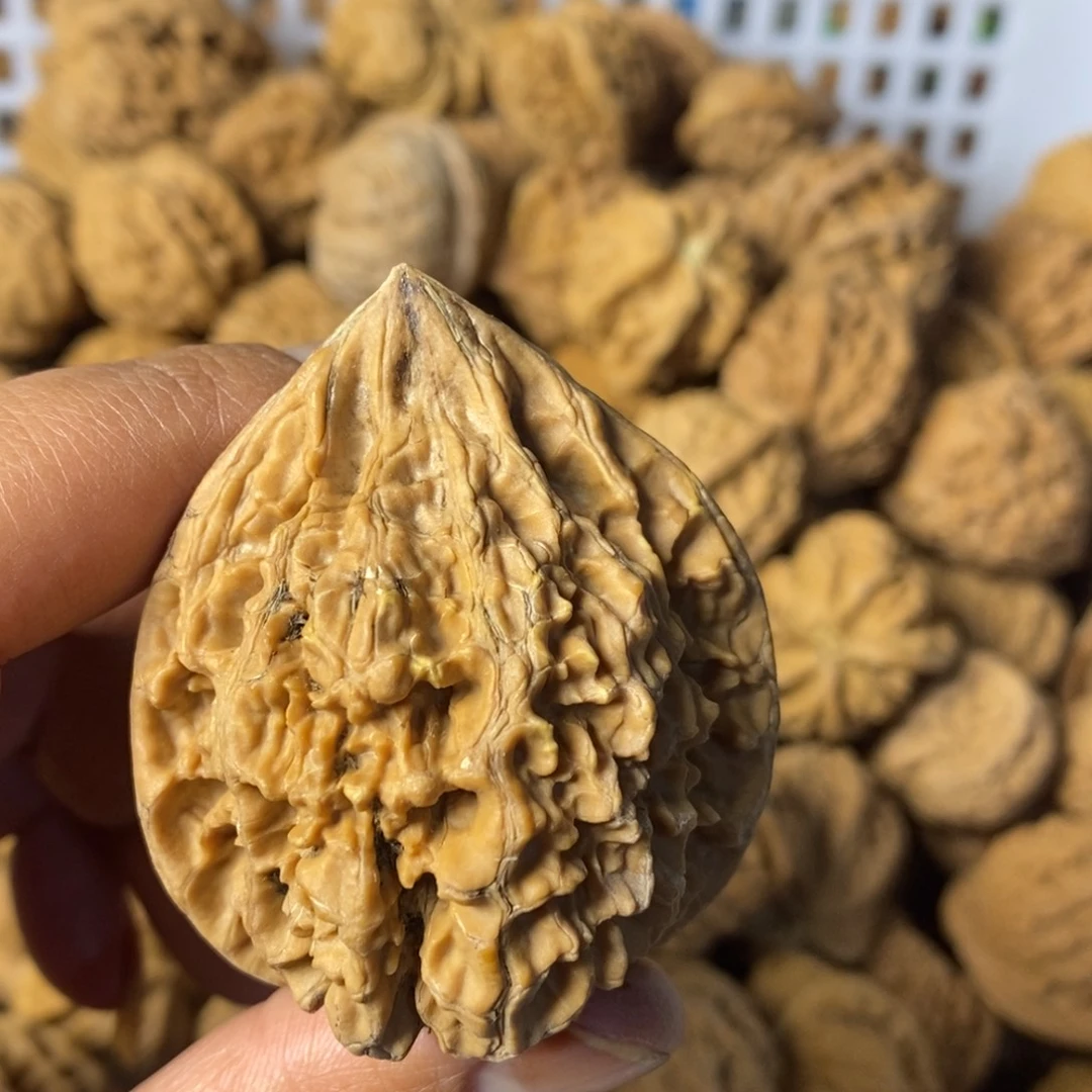 大***闪大叶紫檀（黑酸枝木类）