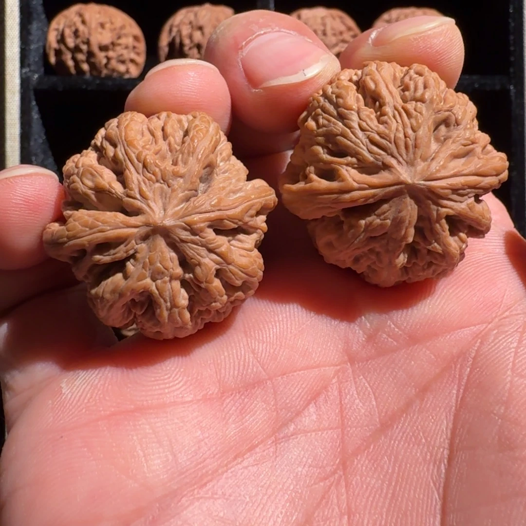 吊坠文玩核桃粗筋