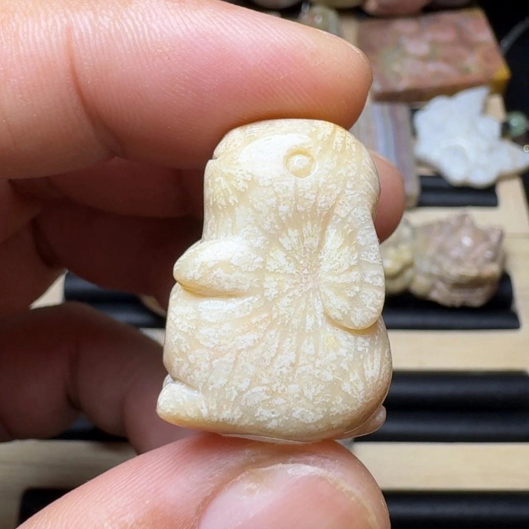 未镶嵌纯天然色有机玉石保真色硅化玉