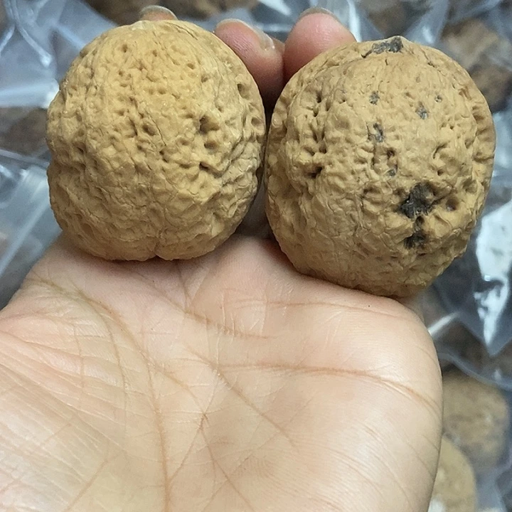文玩核桃把件云南铁核桃基地79