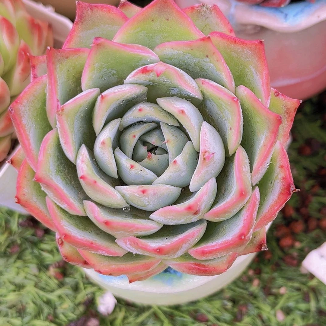 18号89998989988899999