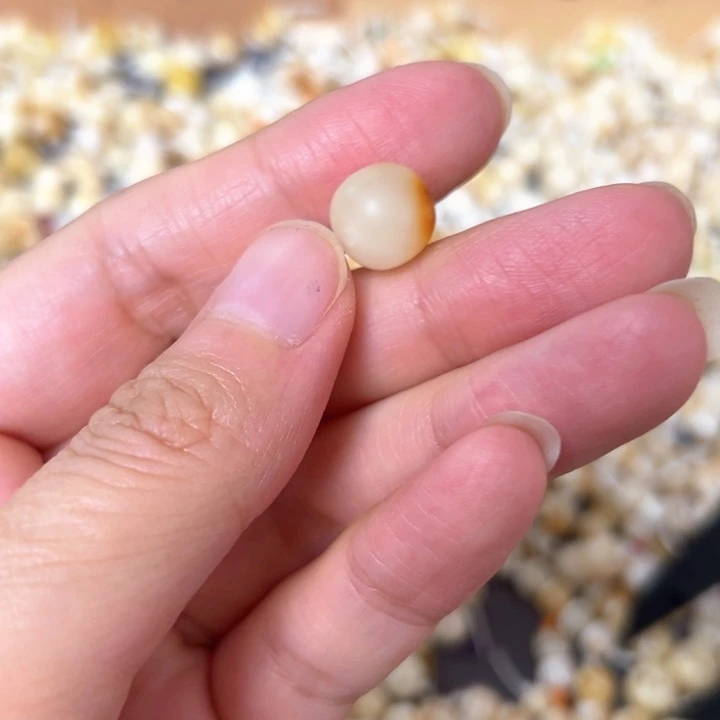 裸石蜜蜡未镶嵌10mm一个