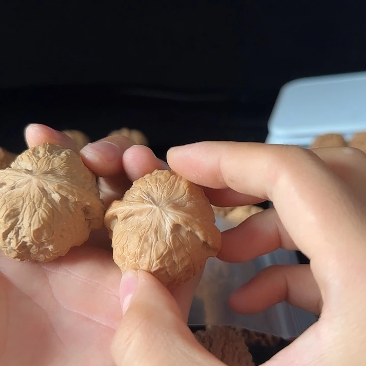 米***5吊坠龙脊菩提啊啊啊啊啊啊啊啊南瓜4