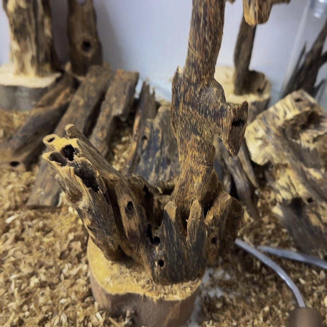 辰***铭木奇楠高油高脂摆件