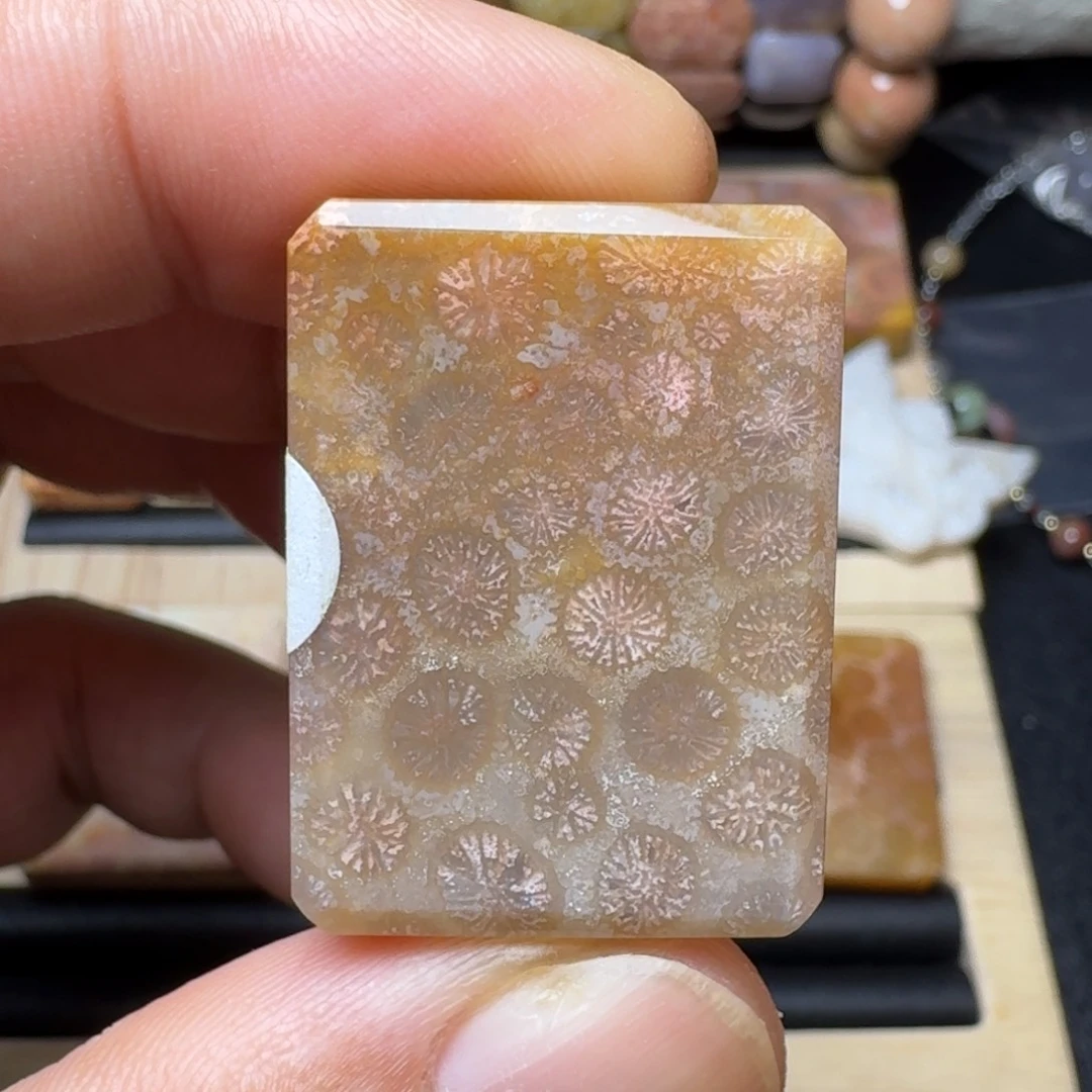 硅化玉未镶嵌纯天然色有机玉石保真色