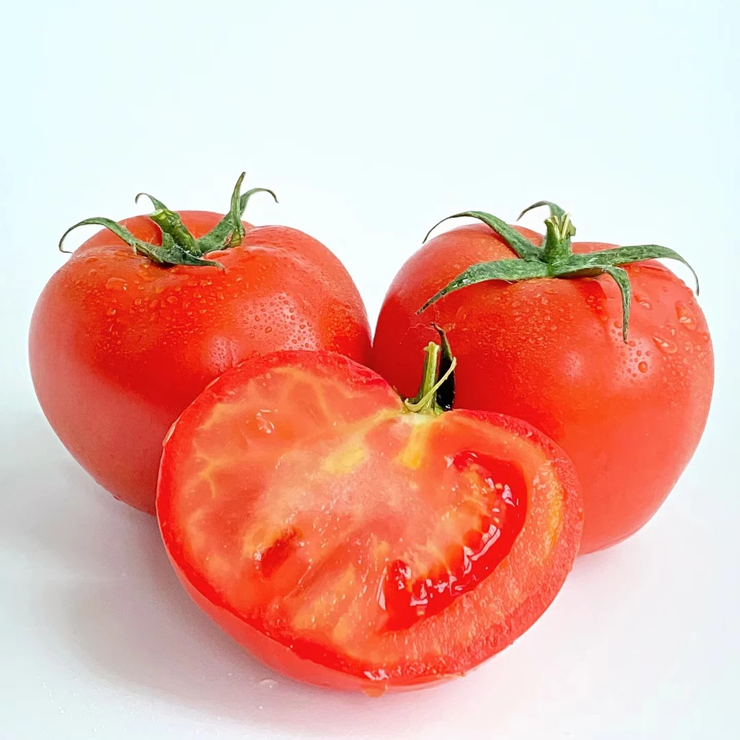 圆通快递正宗潍坊青州老式沙瓤毛粉中小果4.5斤西红柿包邮到家炒菜新鲜山东省