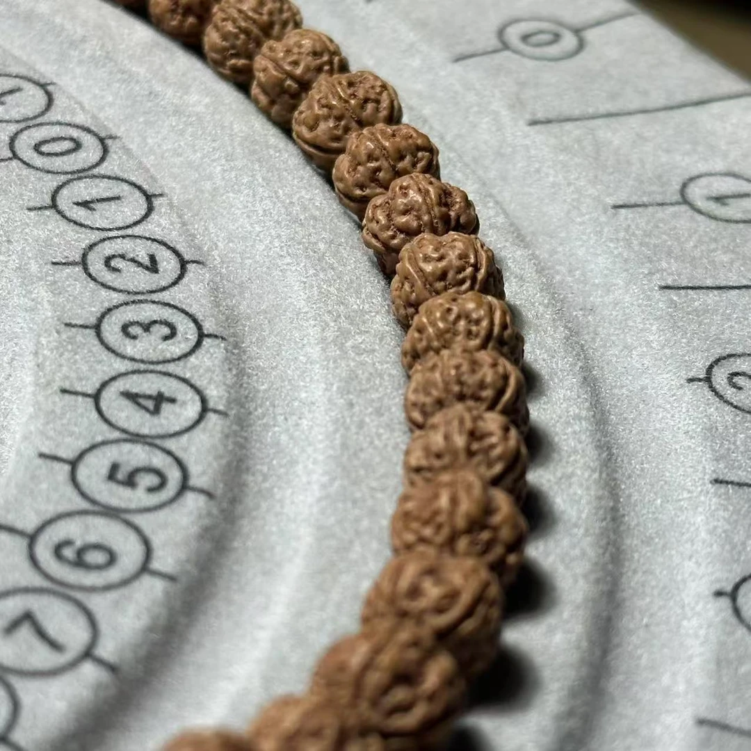 原生态闷墩龙长串7-9左右礼盒发货+皮袋