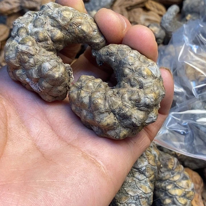 桃核吊坠娜姐真的67