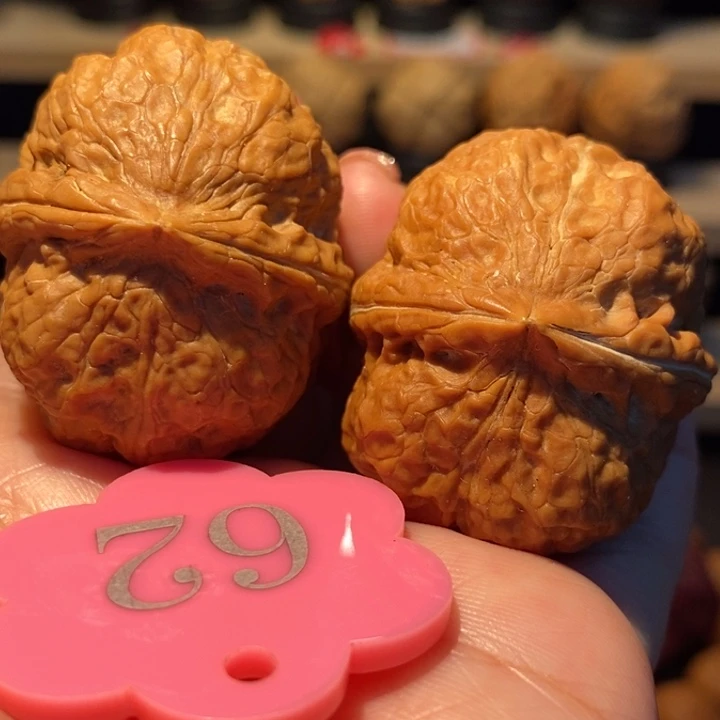 木质类粗筋霸王龙42尺寸