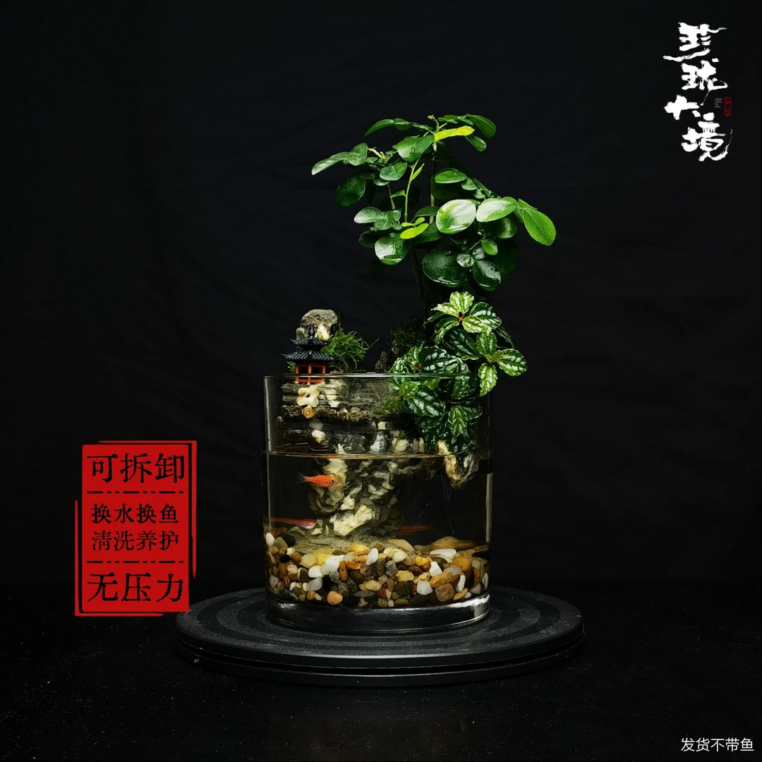 [九里飘香2.0]小叶九里香创意绿植驱蚊微景观国风摆件鱼缸12*12cm