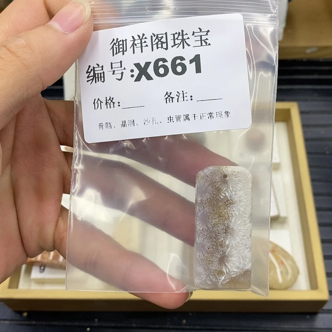 硅化珊瑚（珊瑚玉）未镶嵌颈饰被****。