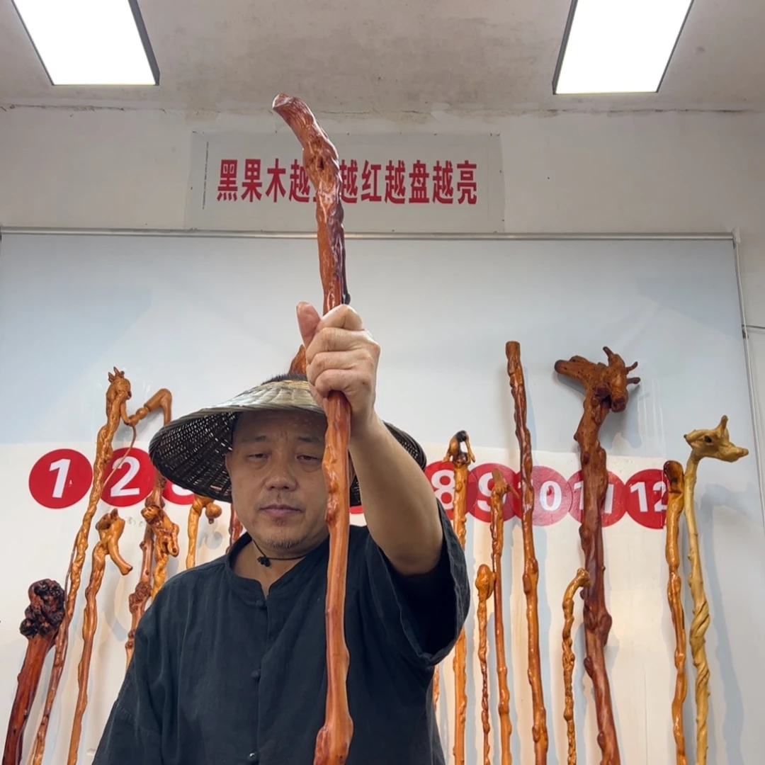 鸿***讯黑果木其他黑果木050