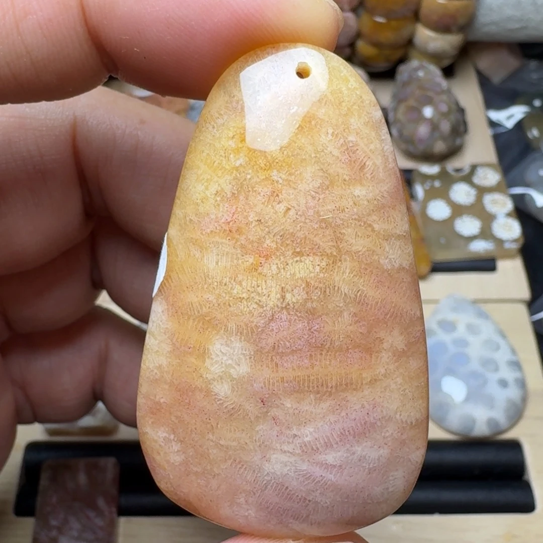 硅化珊瑚（珊瑚玉）未镶嵌纯天然色有机玉石保真色