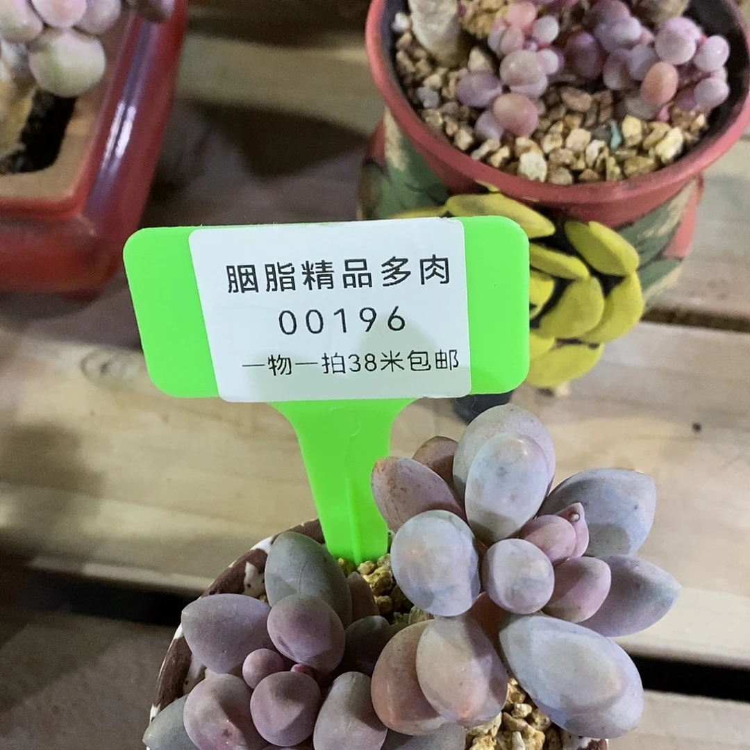 00196个组啊去呢卡恩组