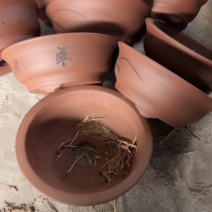 花盆紫砂100-9。  22.5-9