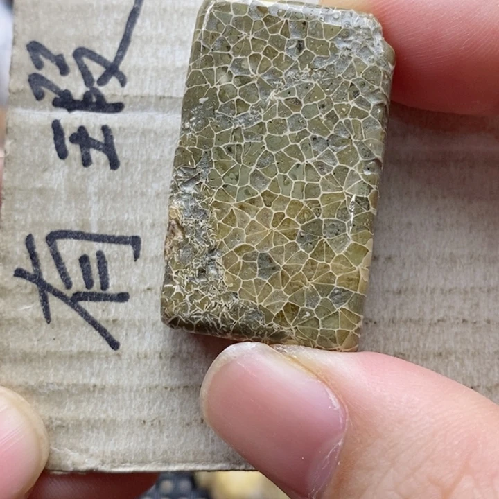 硅化珊瑚（珊瑚玉）颈饰未镶嵌A**A