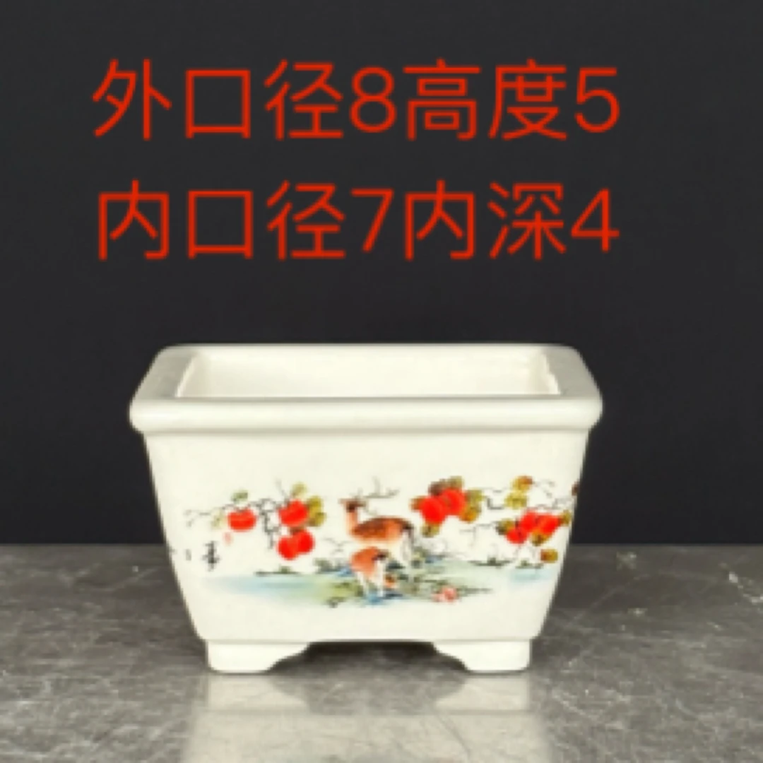 精品陶瓷掌中宝小方盆绿植多肉植物