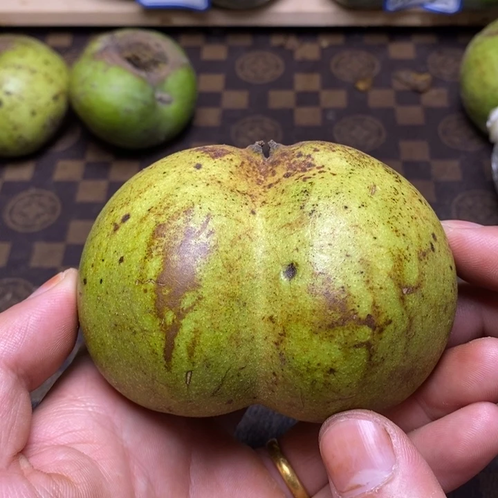 核桃核桃核桃核桃核桃核桃