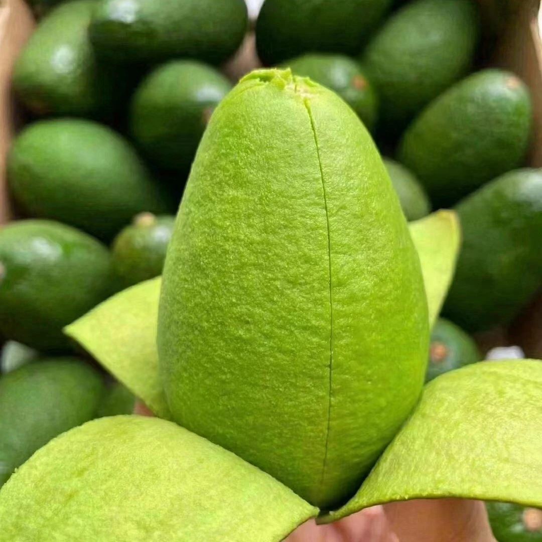 【咸宁小时达】云南牛油果2个250g牛油果同城