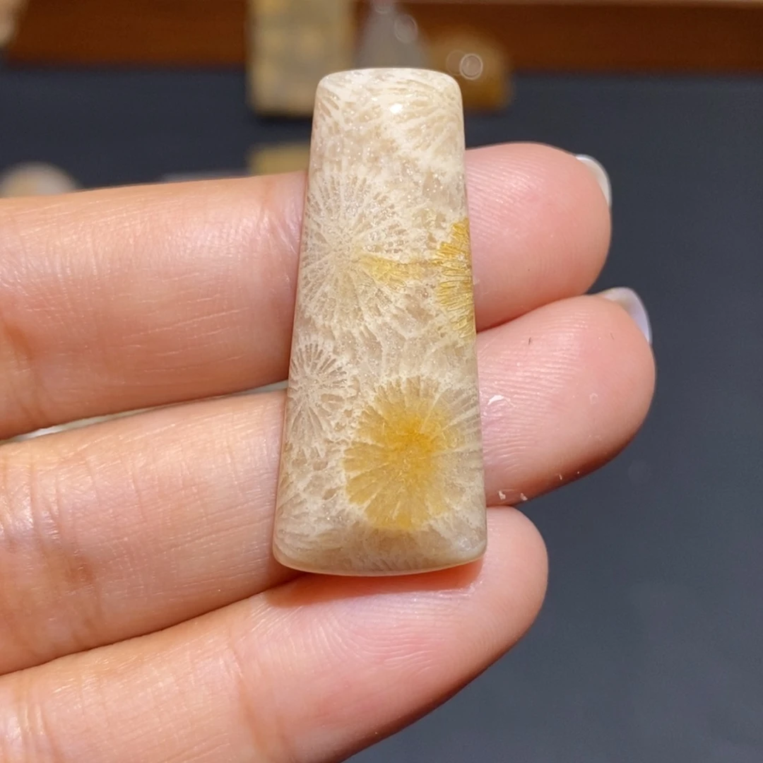 【闪购商品】未镶嵌珊瑚玉硅化玉