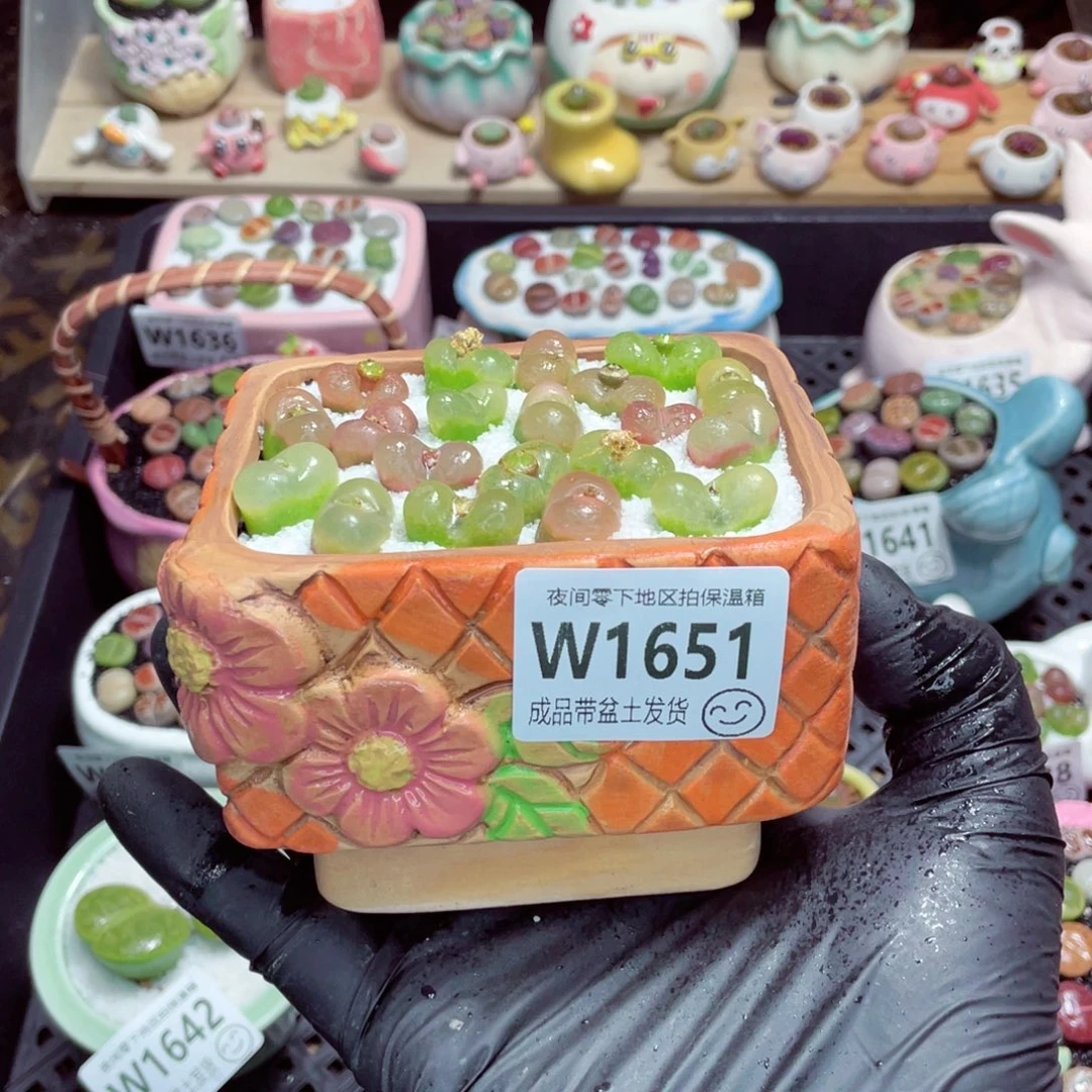 夜间零下地区拍保温箱w1651