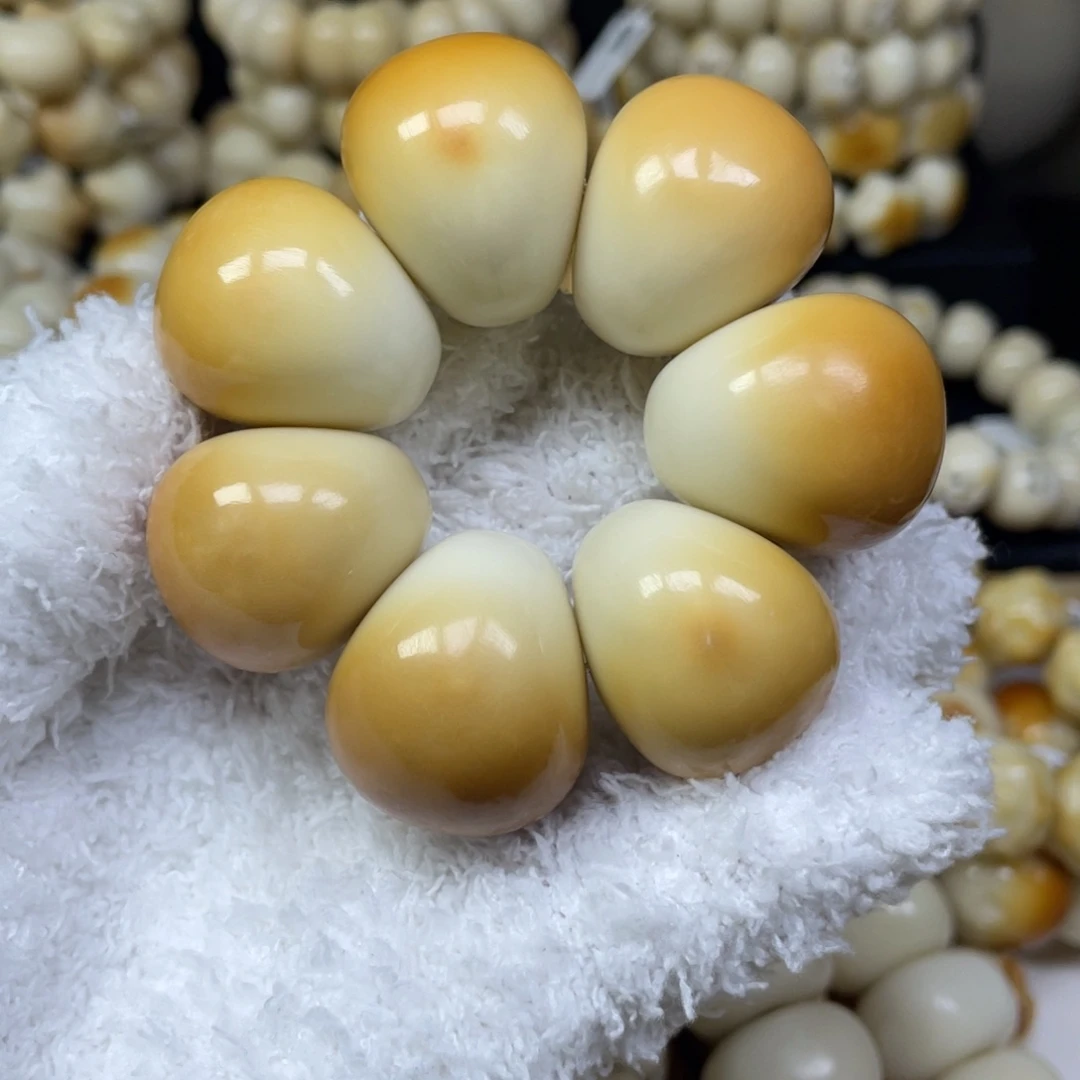 手串菩提根/象牙果11.8.12微瑕山竹卡27