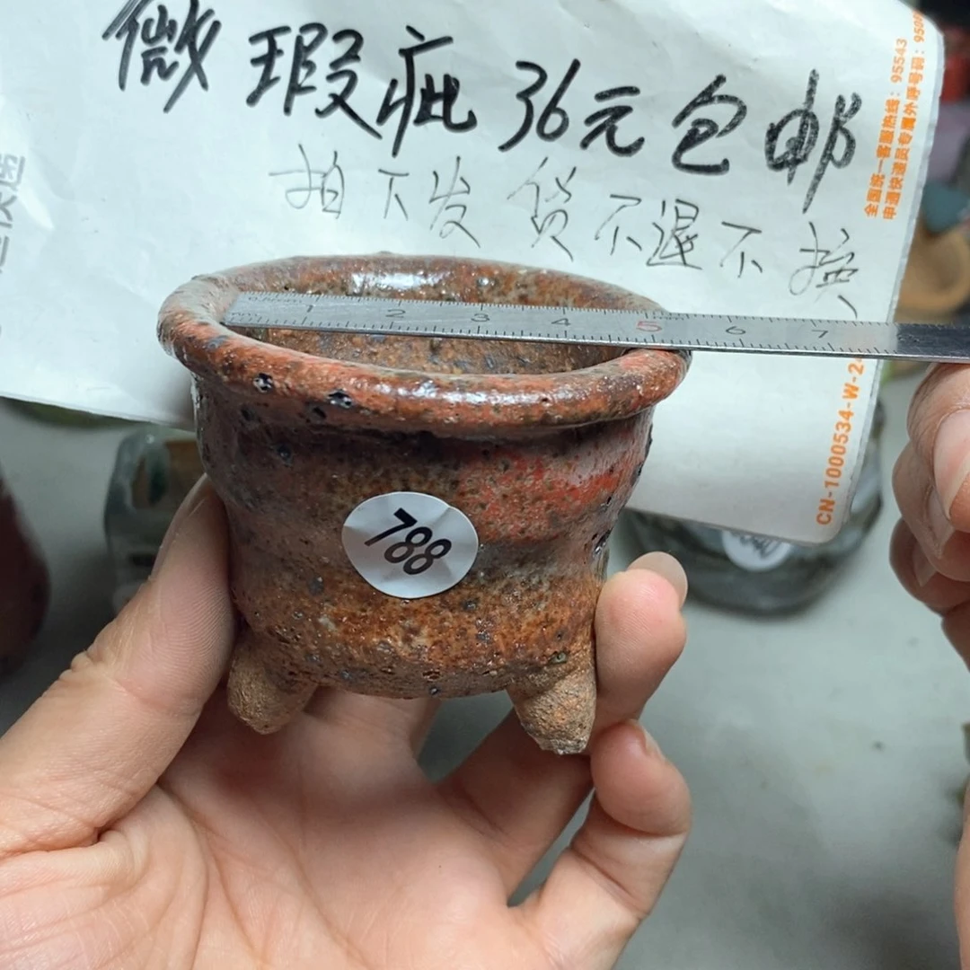 拍5送一个小礼物