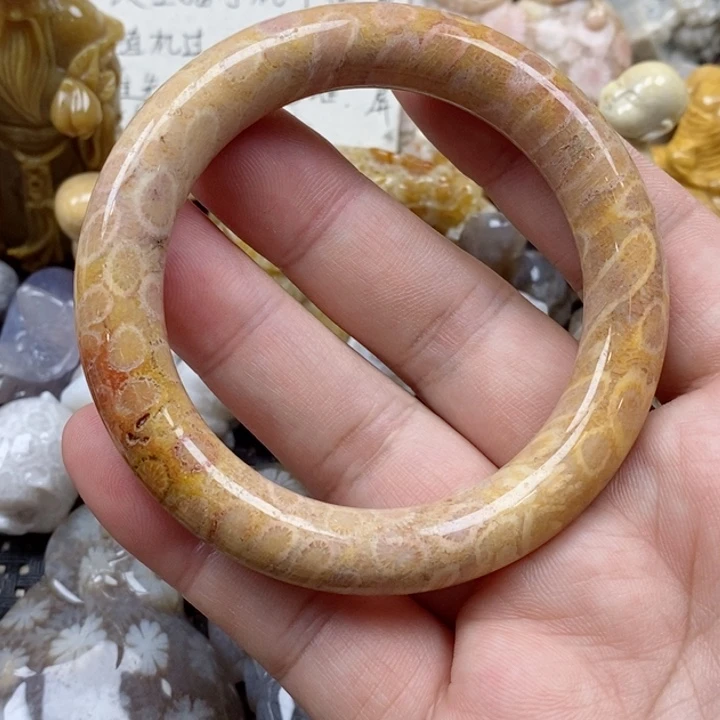 颈饰未镶嵌硅化珊瑚（珊瑚玉）有瑕 54