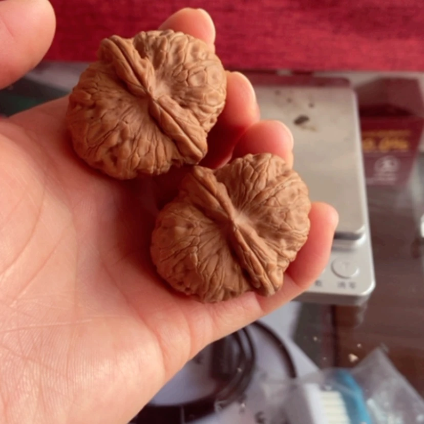 【闪购商品】芥***吃41尺寸全品平谷大元宝