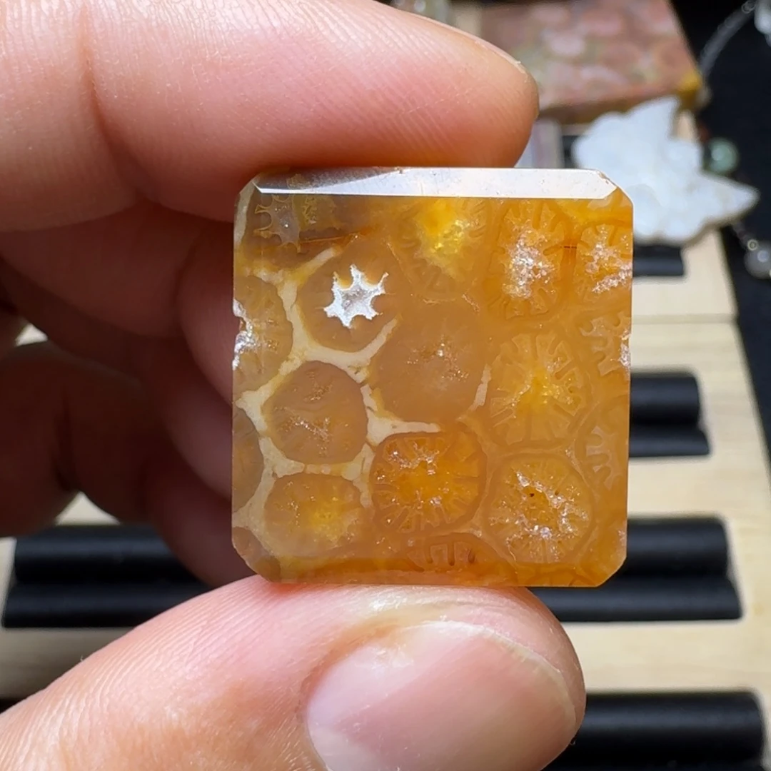 未镶嵌纯天然色有机玉石保真色硅化玉