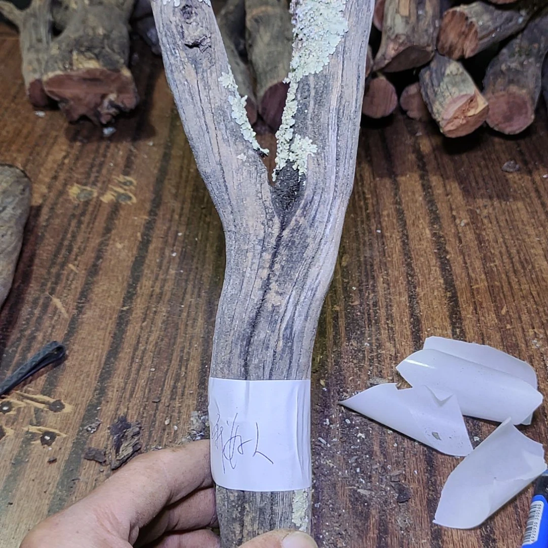 我***人火琉璃原杈，不保沉水慎拍！
