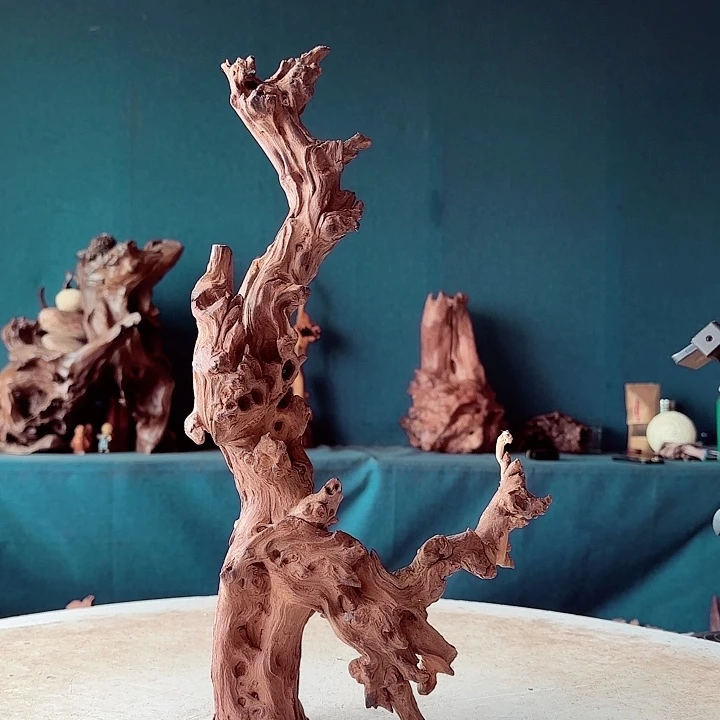 黑果木惠****店388金丝红木羊蹄甲半成品