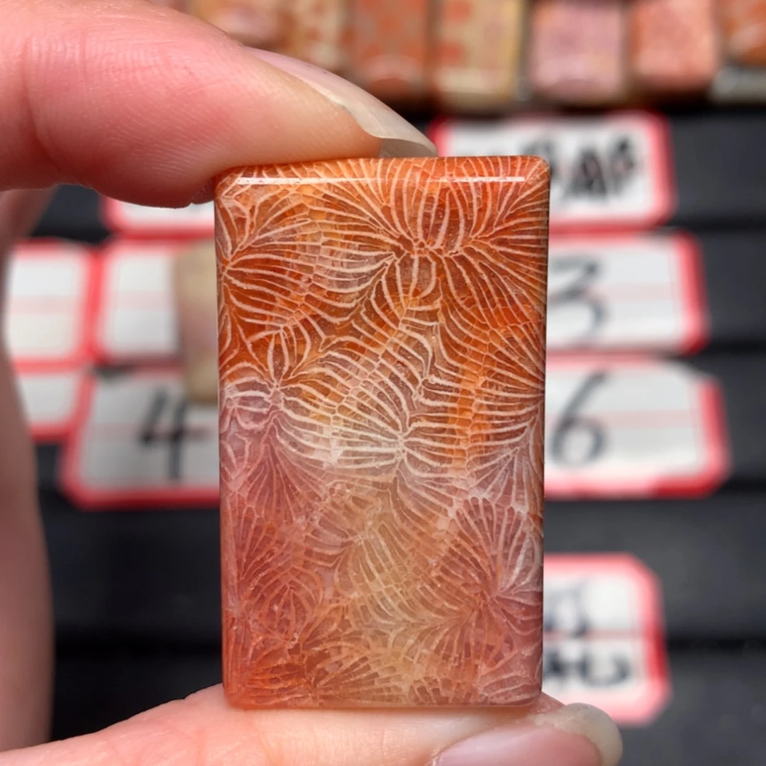 【闪购商品】未镶嵌颈饰硅化玉堇***y
