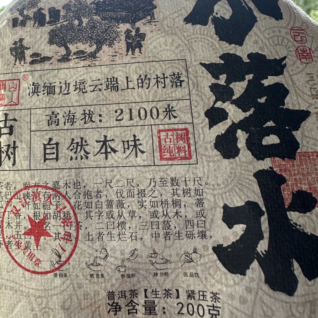 2025年小落水古树春茶200g饼