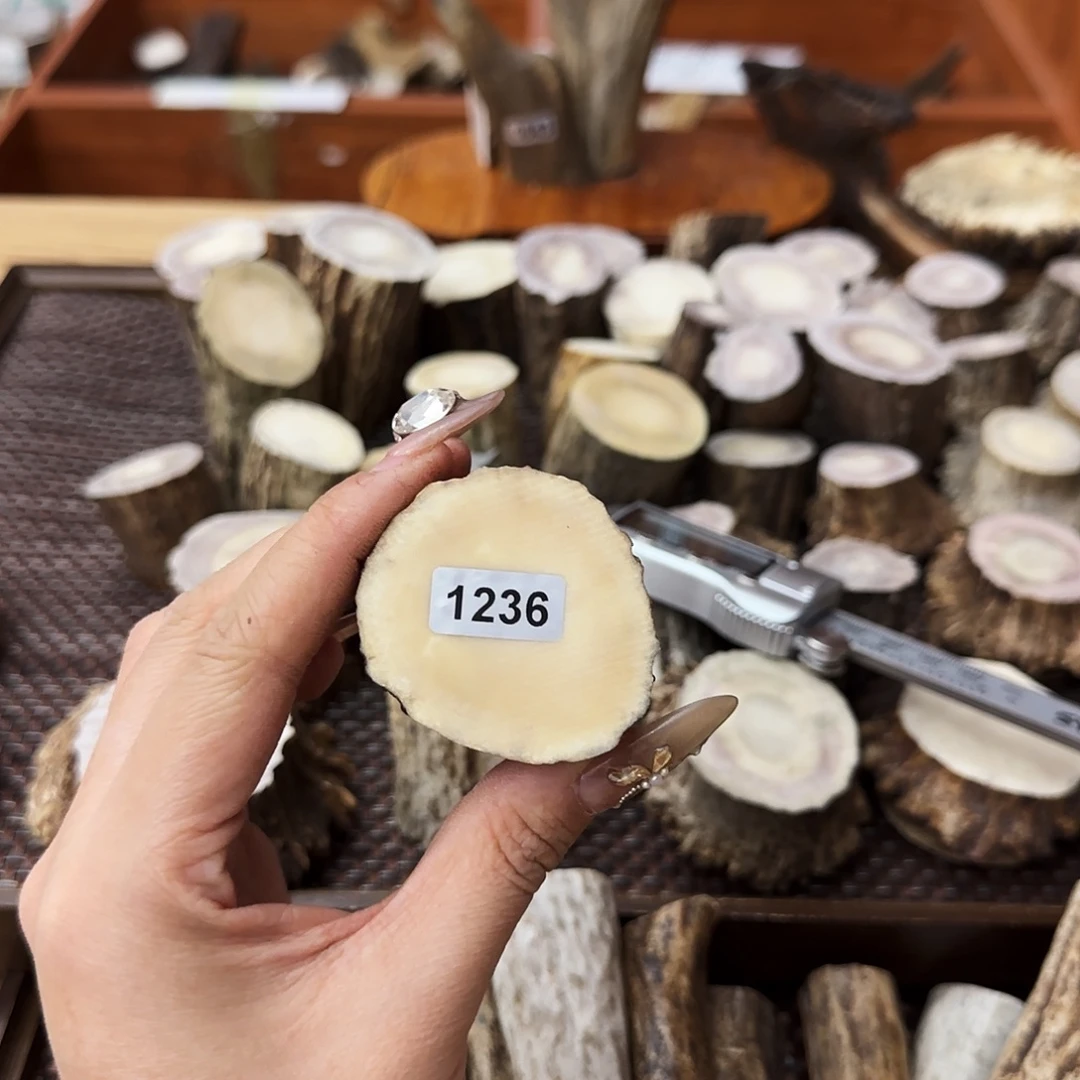 手串/手链鹿骨1236根段