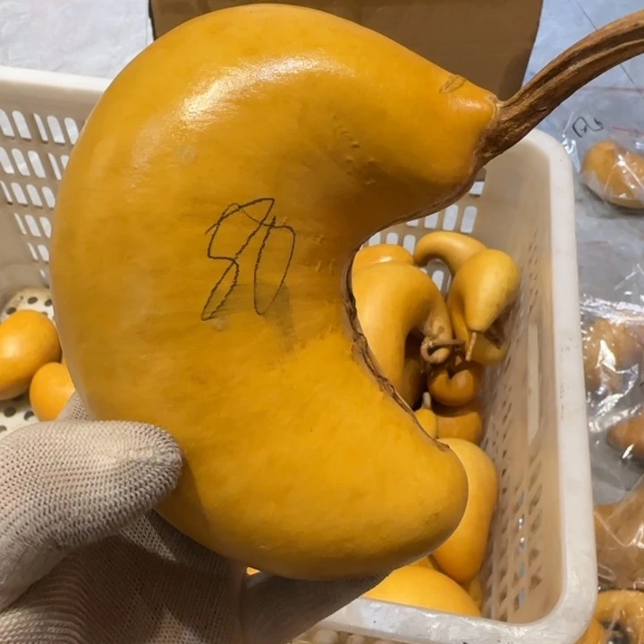 J****黑哈哈哈哈哈哈哈哈哈哈哈哈哈