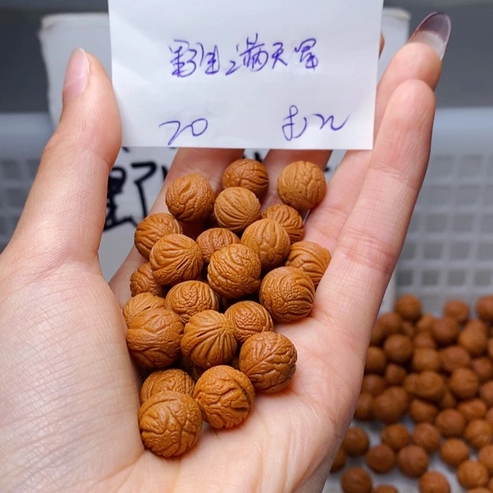手串桃核12mm左右野生满天星20颗（打孔）