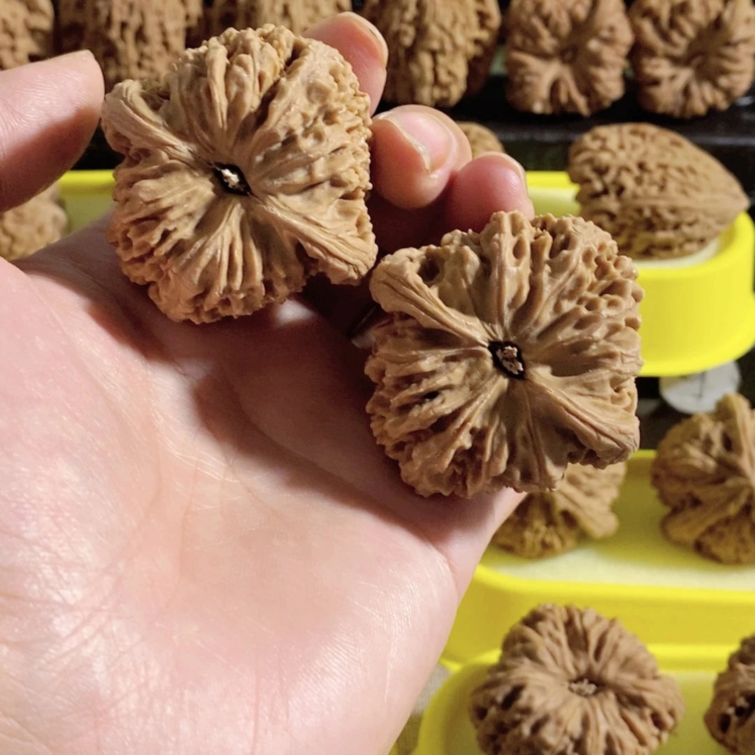 木质类凹的开背的时候就