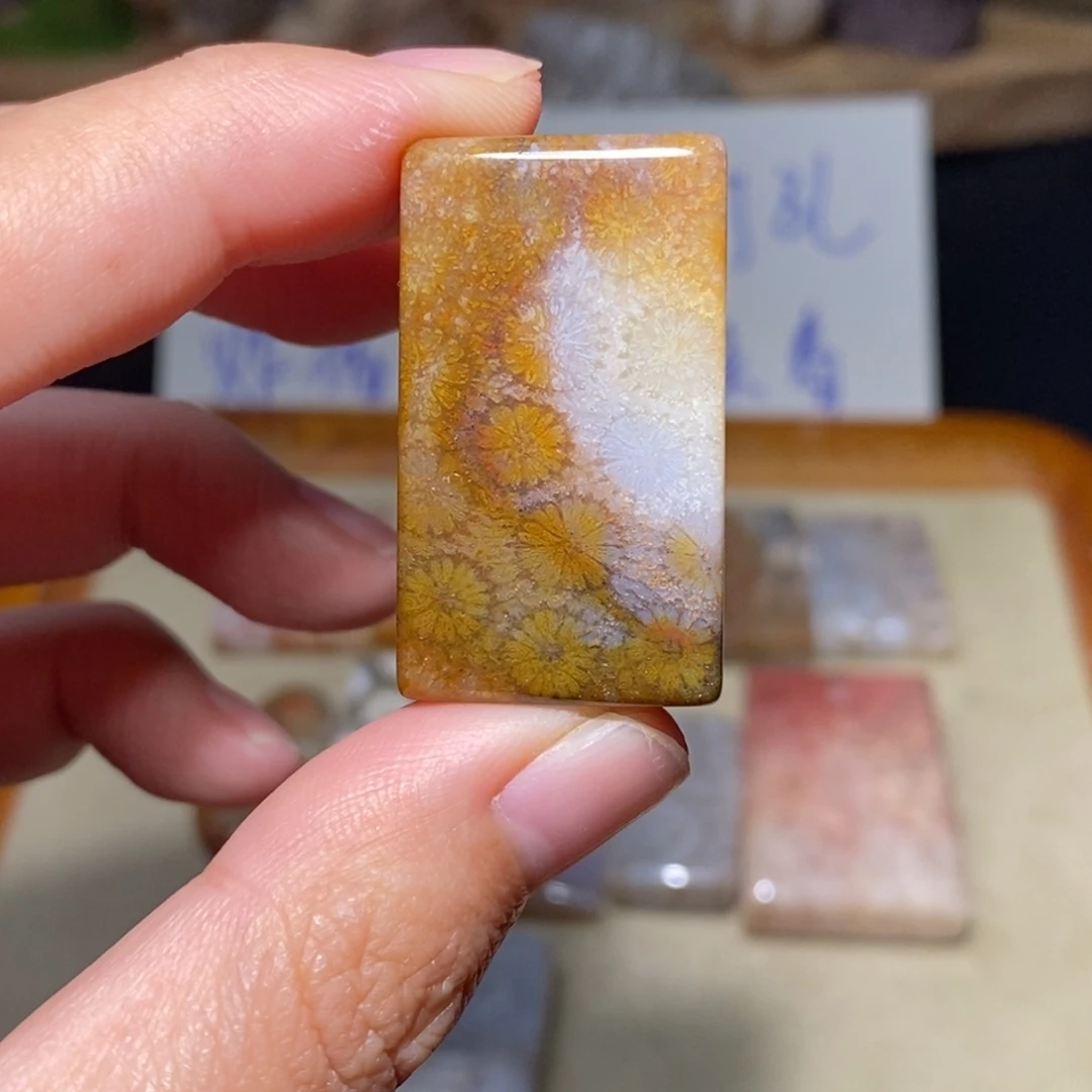 【闪购商品】硅化玉颈饰未镶嵌