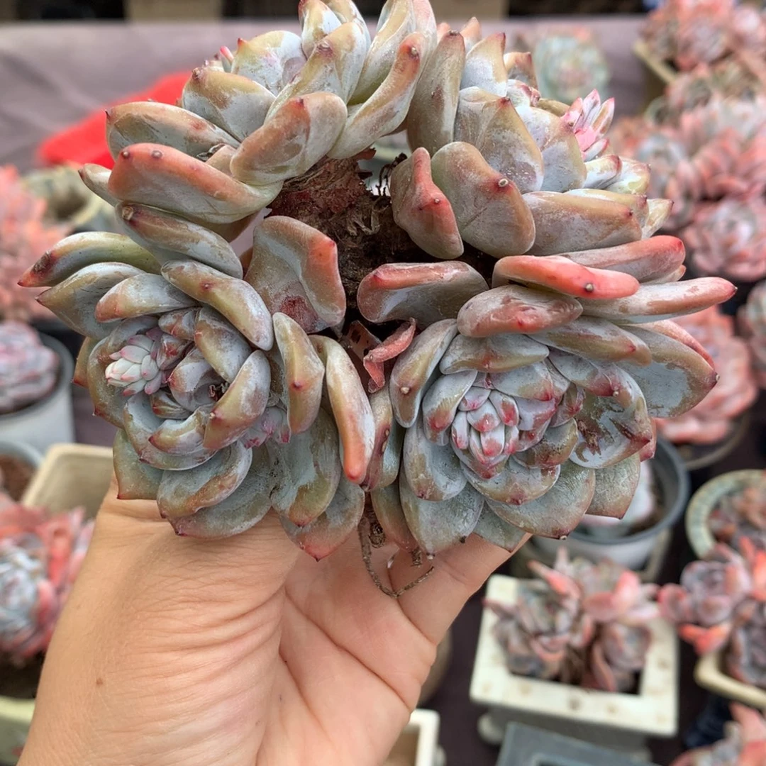 哈哈哈哈哈哈哈哈哈哈哈