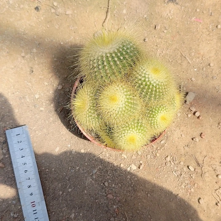 深***鲨哈哈哈哈哈哈哈哈哈哈吗