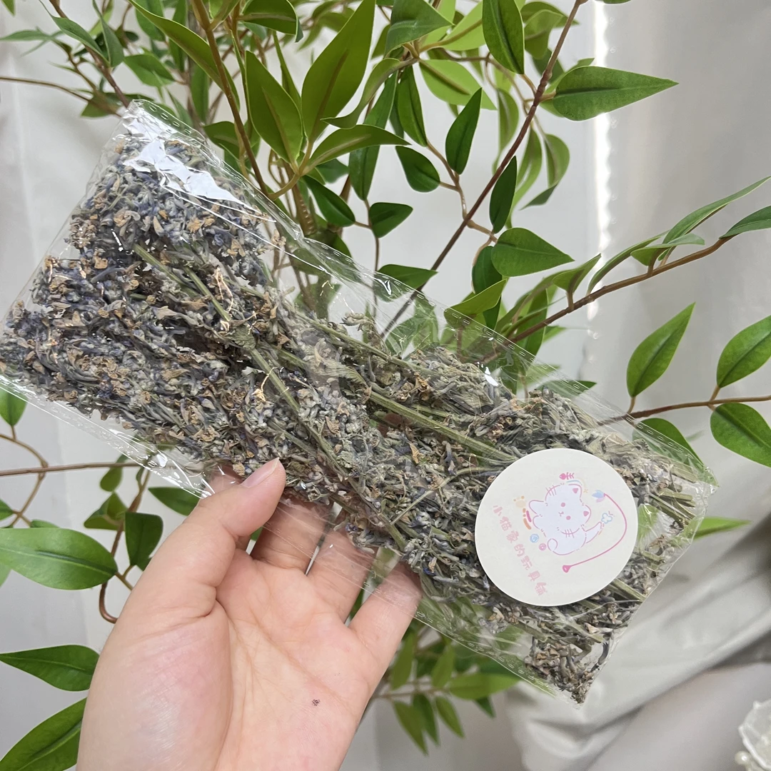 猫薄荷紫花猫薄荷花束8g