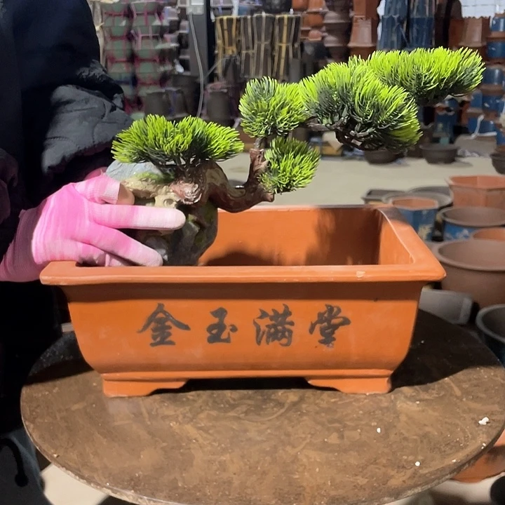 紫砂宜兴紫砂红马槽32