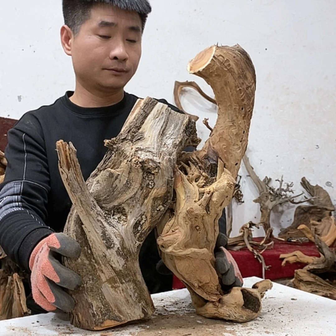 【闪购商品】柏木恒*…我们都是好孩子