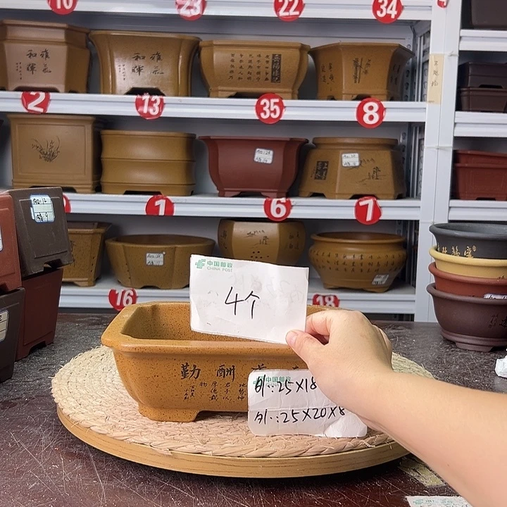 花盆紫砂蛇年大吉